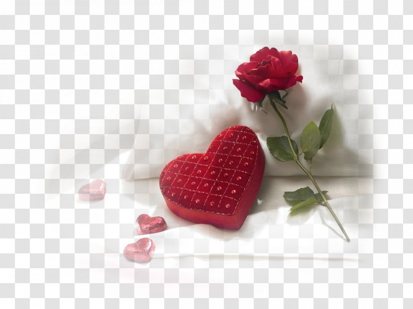 Valentine's Day Happiness Gift Propose Wish - Valentine S - Amour Transparent PNG