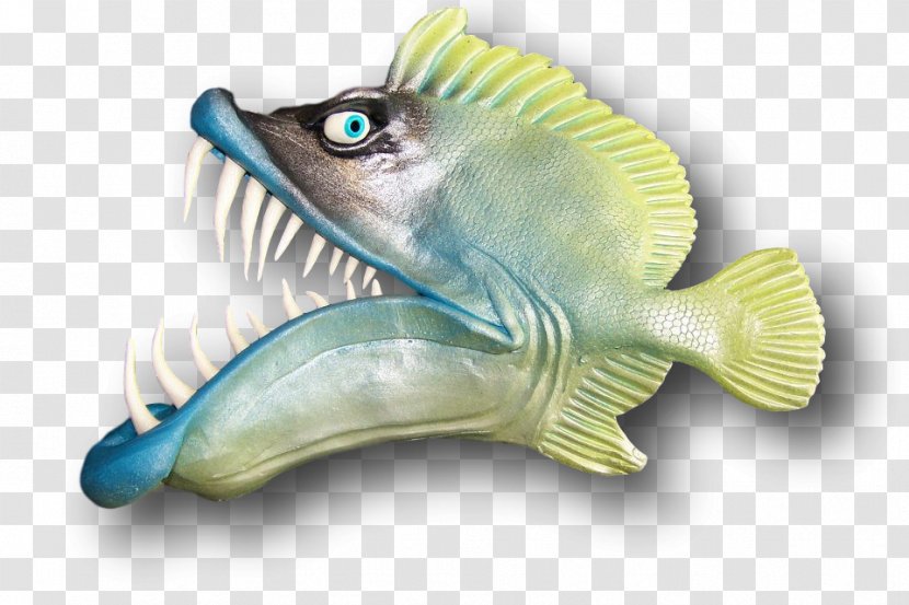 Marine Biology Fish - Seafood Transparent PNG
