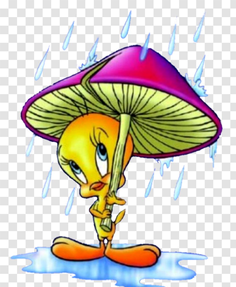 Tweety Cartoon Rain - Drawing Transparent PNG