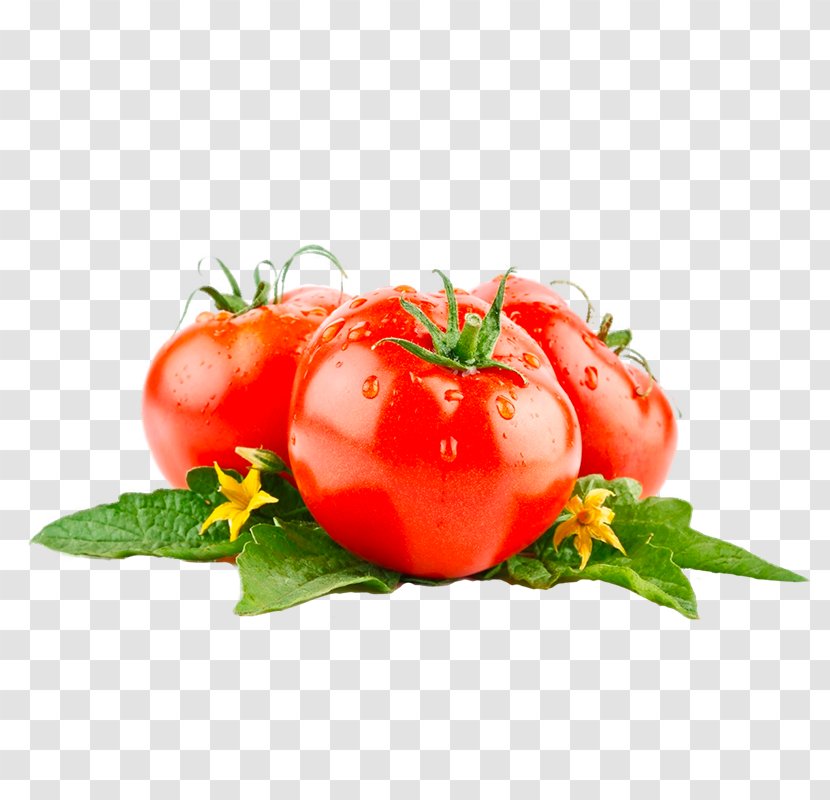 Tomato Juice Food Wallpaper - Local Transparent PNG