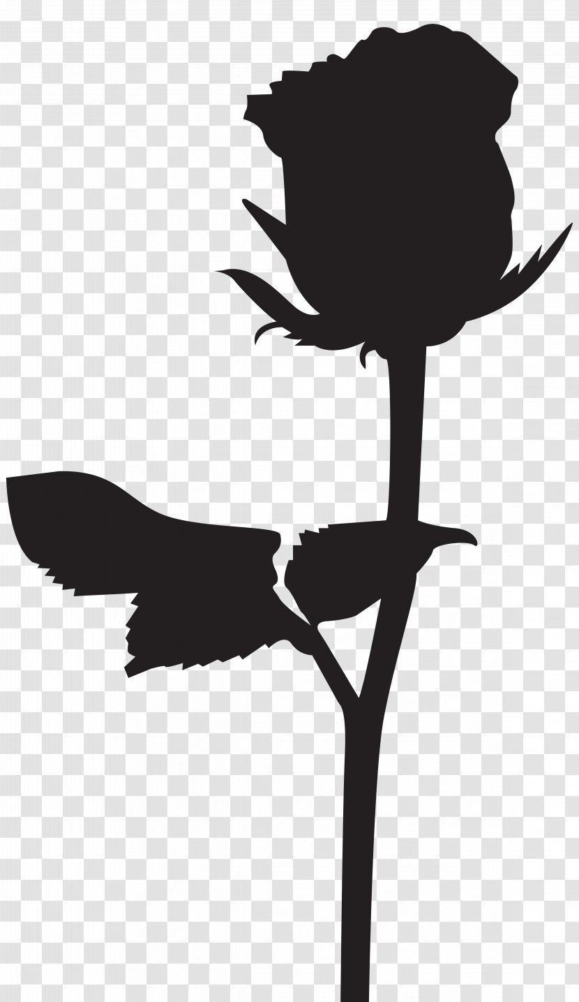 Silhouette Black Rose Drawing Clip Art - Photography - Silhouettes Transparent PNG