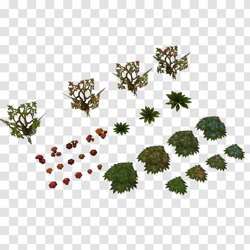 Tree Texture - Plants - Fennel Flower Plant Transparent PNG