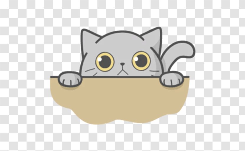 Whiskers Kitten Cat Telegram Sticker Transparent PNG