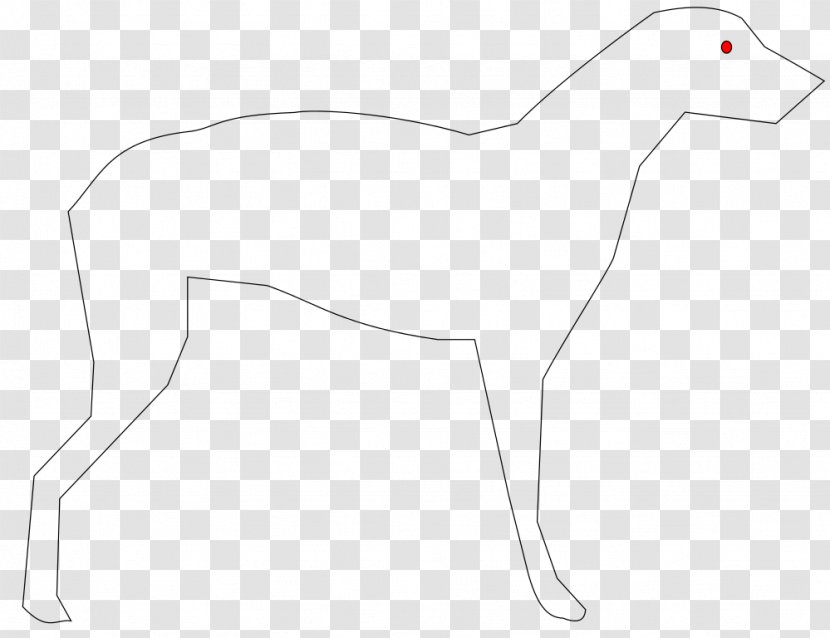 Whippet Italian Greyhound Animal Canidae - Black And White - Carp Transparent PNG