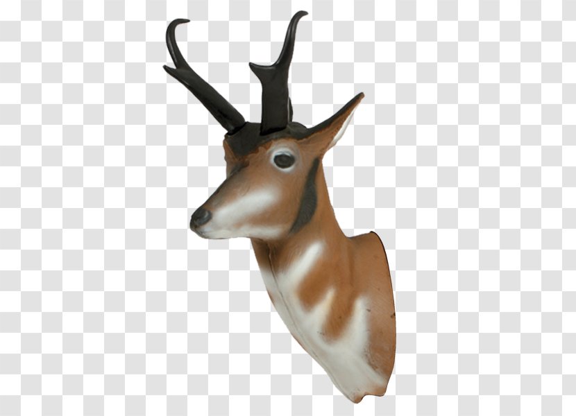 Springbok Pronghorn Antelope Impala Deer Transparent PNG
