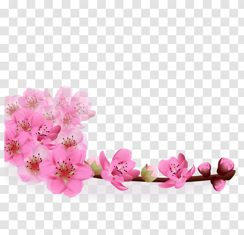 Realistic Sakura - Cherry Blossom - Flower Transparent PNG