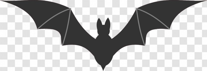 Bat Clip Art - Image Resolution - File Vector Transparent PNG