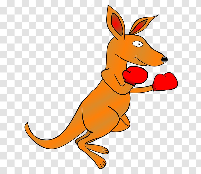 Kangaroo Clip Art - Boxing Transparent PNG
