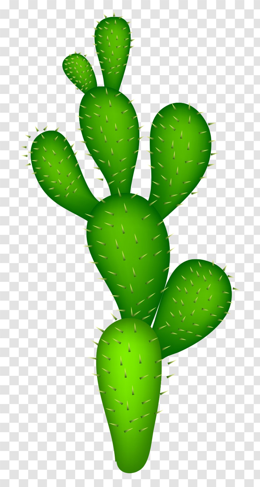 Cactaceae Clip Art - Erg - Vector Green Desert Cactus Transparent PNG