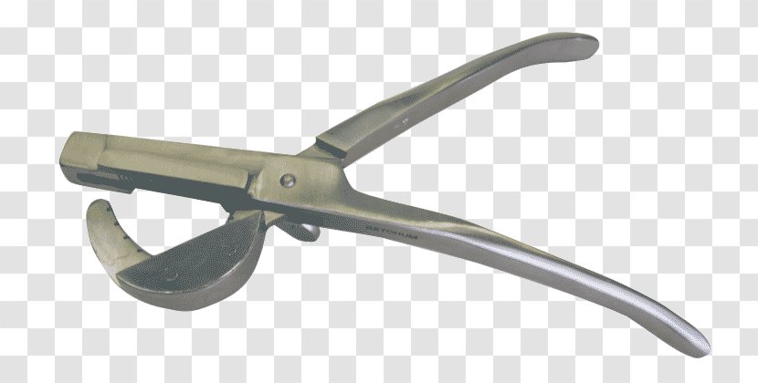 Diagonal Pliers Nipper Angle - Poultry And Livestock Transparent PNG