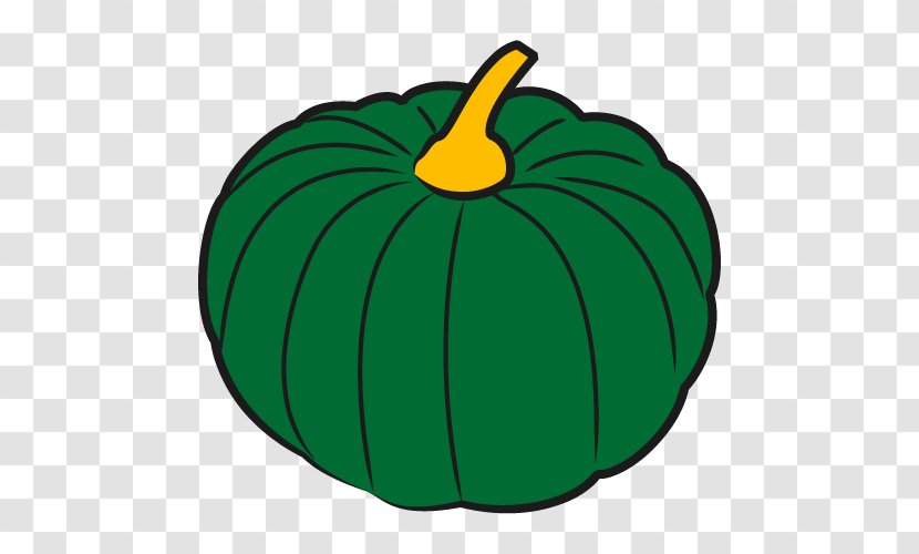 Pumpkin Winter Squash Calabaza Gourd Vegetable - Green Transparent PNG