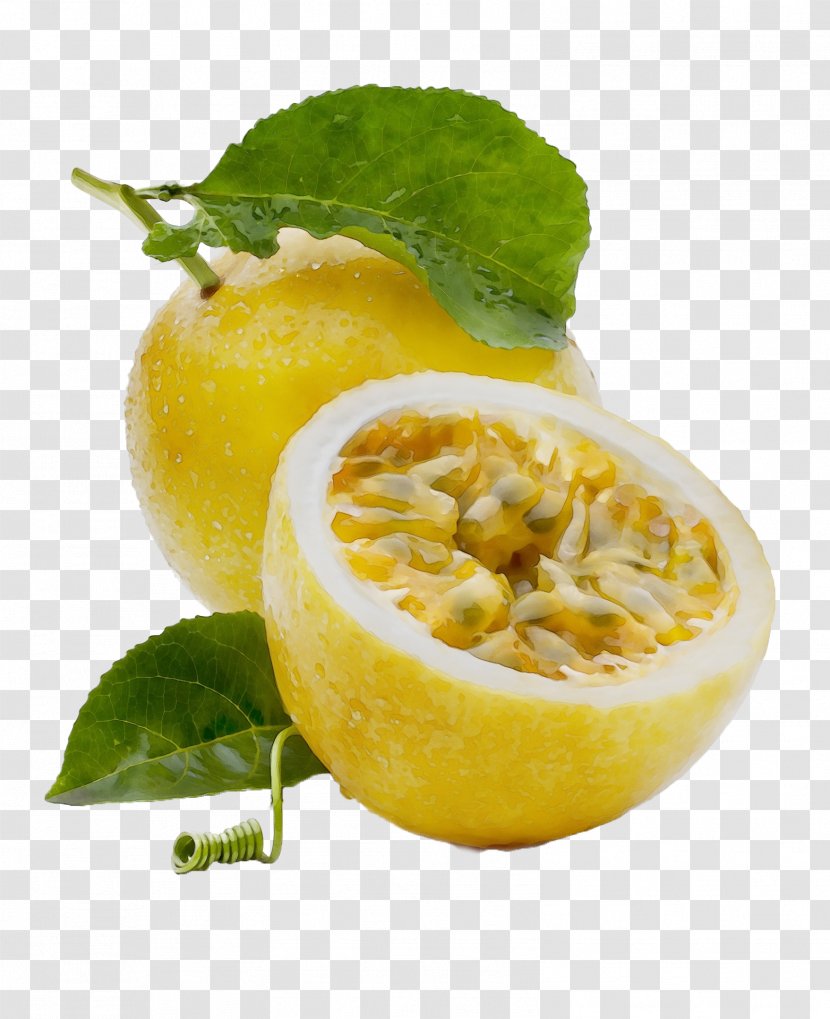 Food Fruit Plant Passion Natural Foods - Watercolor - Citrus Lemon Peel Transparent PNG