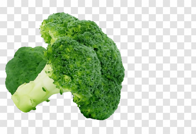 Cauliflower Transparent PNG