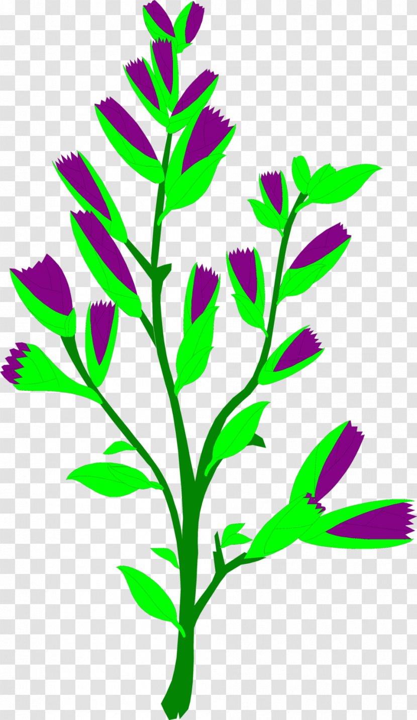 Plant Herb Common Sage Food Clip Art - Tarragon - Artichokes Transparent PNG