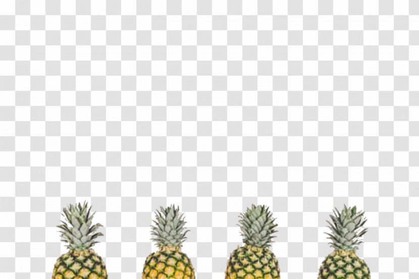Paper LEAFLET!! Poster - Tree - Four Pineapple,Free Matting Transparent PNG