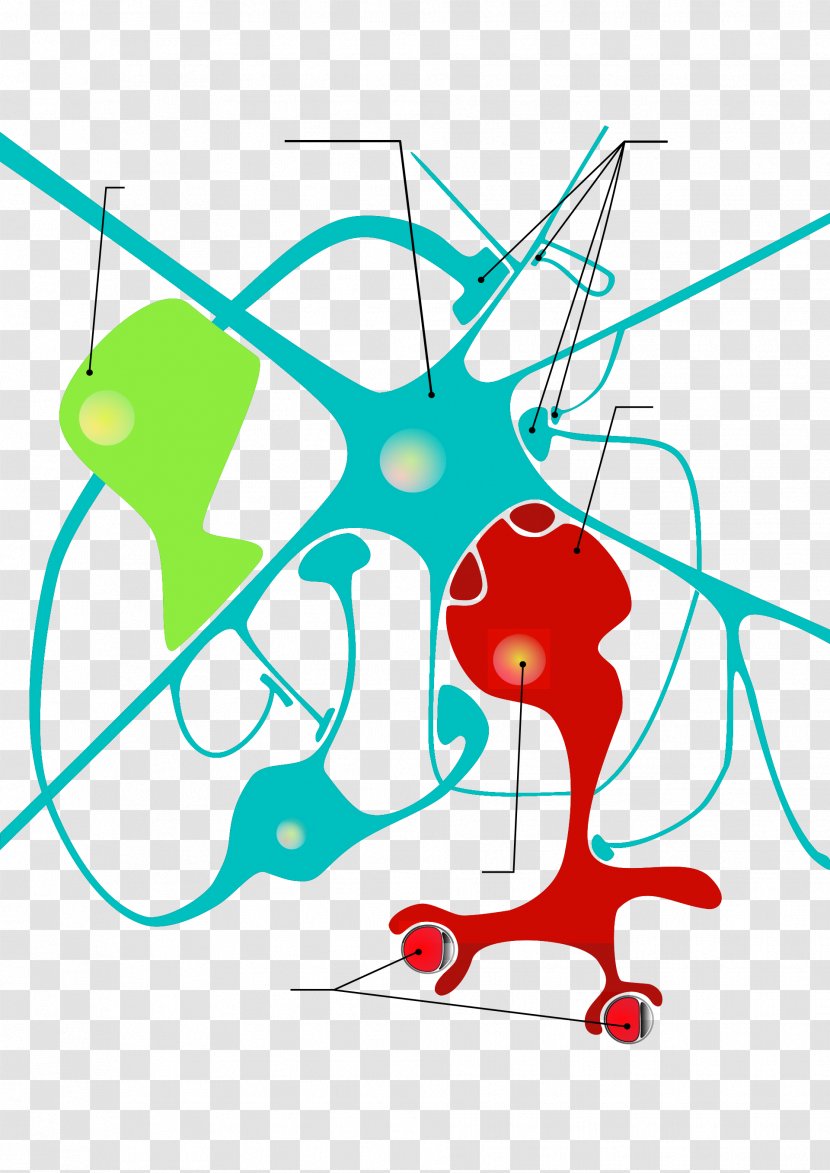 Clip Art Neuroglia Neuron Astrocyte Cell - Flower - Glial Cells Transparent PNG