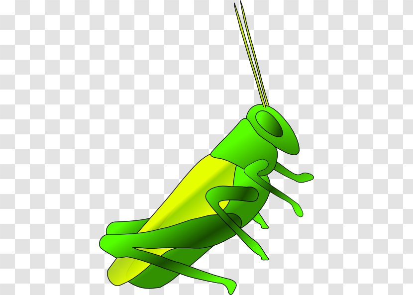 Jiminy Cricket Cartoon Clip Art - Royaltyfree Transparent PNG