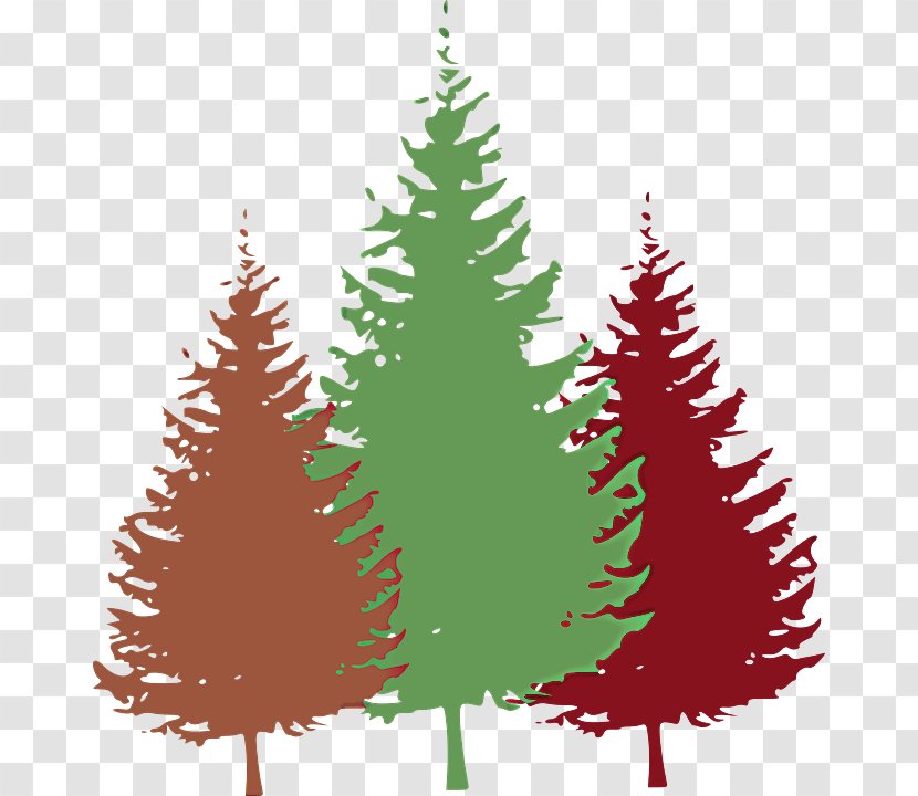 Christmas Tree - Yellow Fir - Lodgepole Pine Decoration Transparent PNG