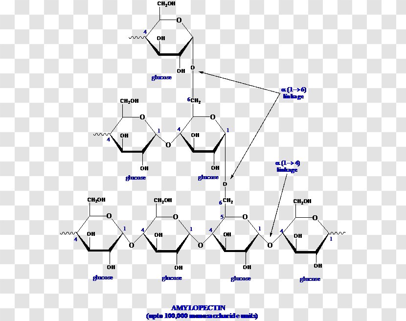 Diagram Line Point Angle - Parallel Transparent PNG