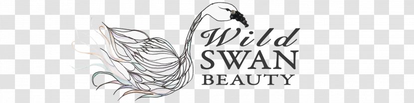 Logo Calligraphy Line Art Font - Watercolor - Swans Transparent PNG
