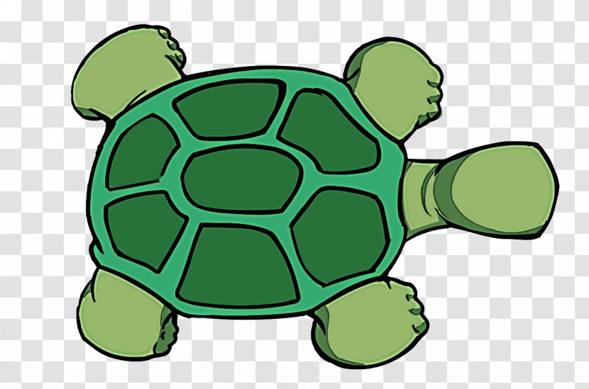 Green Tortoise Sea Turtle Clip Art - Pond - Reptile Transparent PNG