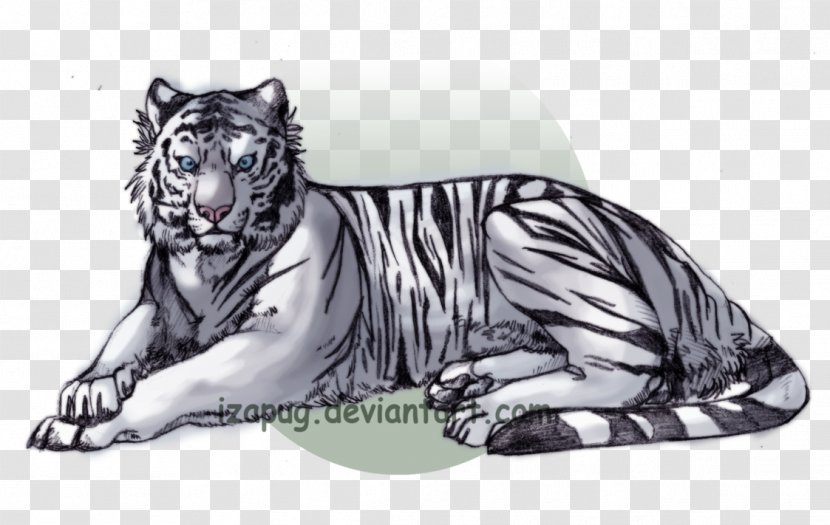 White Tiger Drawing Bengal Cat - Silhouette Transparent PNG