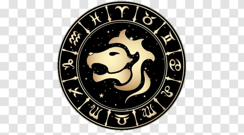 Zodiac Leo Astrological Sign Horoscope Aquarius - Astrology - Man Transparent PNG