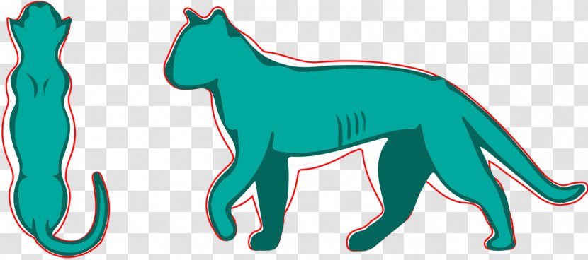 Cat Dog Nutrition Pet Canidae - Carnivoran Transparent PNG