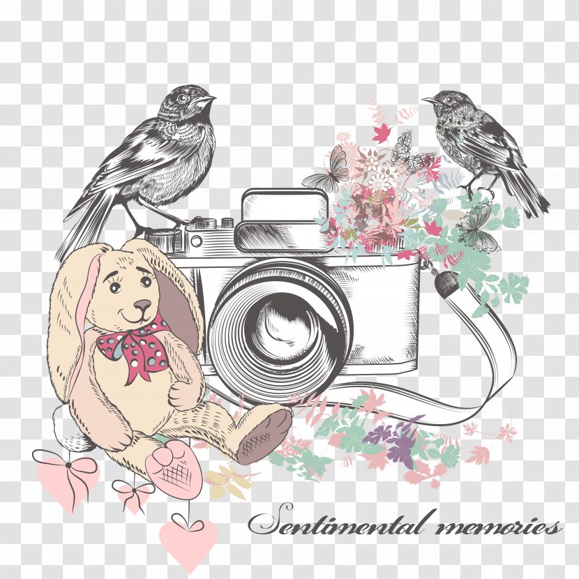 Camera Drawing Watercolor Painting Illustration - Bear Transparent PNG