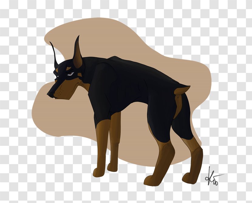 Dobermann Miniature Pinscher Manchester Terrier Puppy Dog Breed - Doberman Gang Transparent PNG