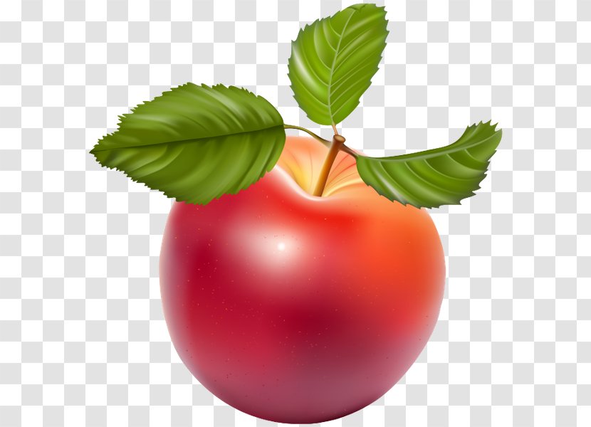 Apple Clip Art - Food Transparent PNG