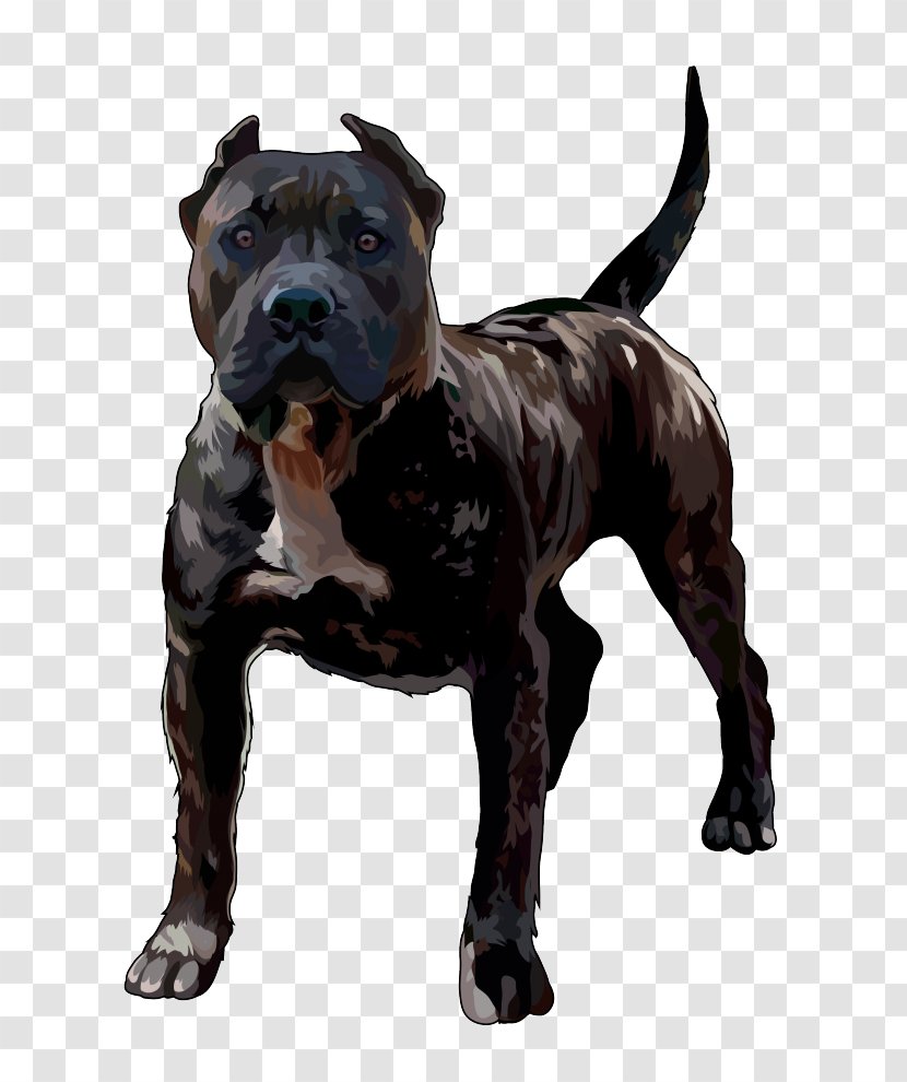 Dog Breed Perro De Presa Canario American Pit Bull Terrier Chihuahua A Pelo Corto Transparent Png