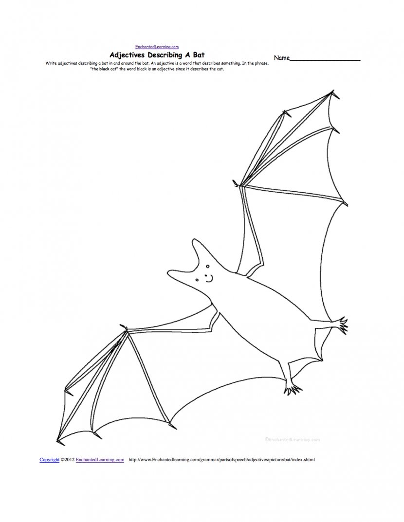 Megabat Drawing Worksheet Anatomy - Wing - Drawings Of Fruit Bats Transparent PNG