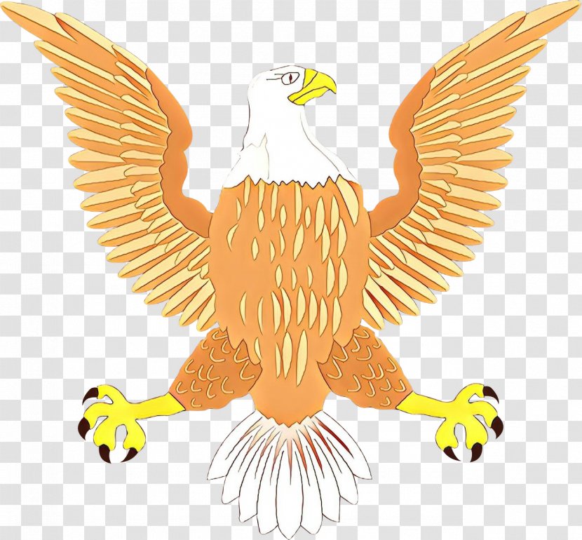 Bird Logo - Buzzard - Falconiformes Transparent PNG
