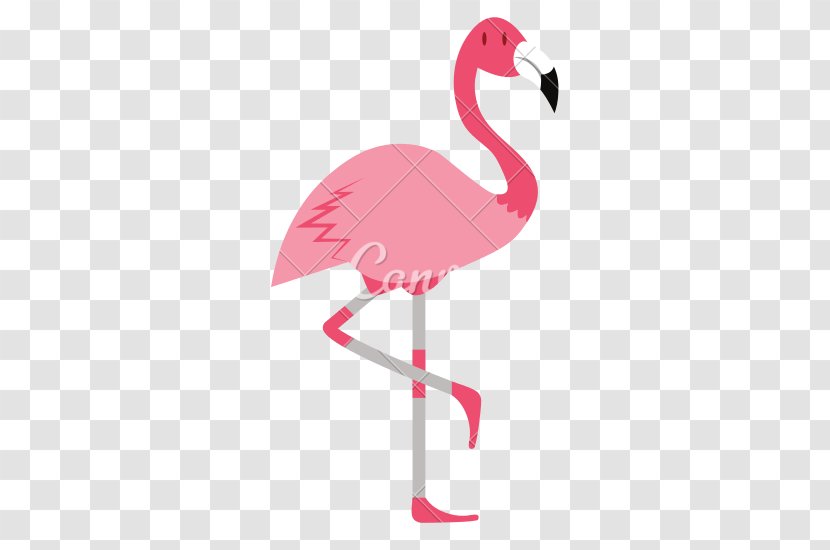 Bird Flamingo Desktop Wallpaper Clip Art Transparent PNG