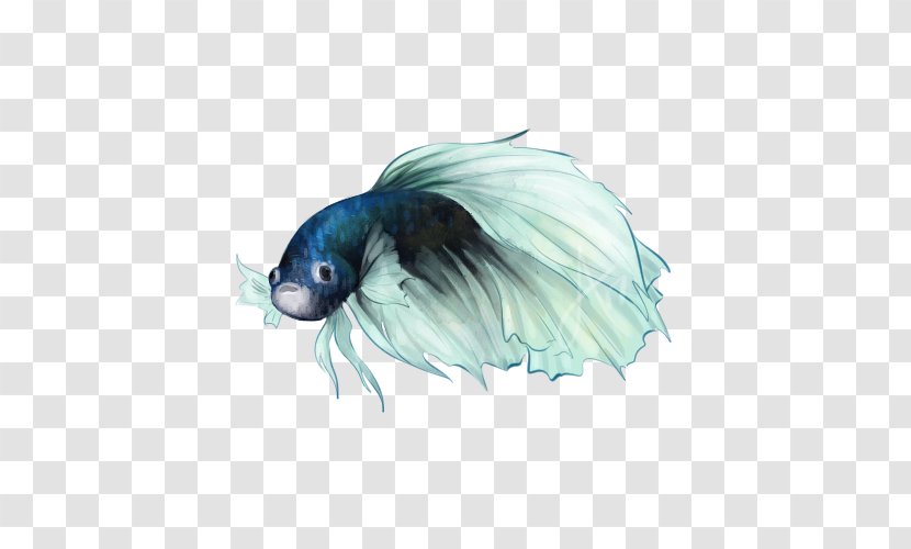 Marine Mammal Feather Tail Beak Transparent PNG