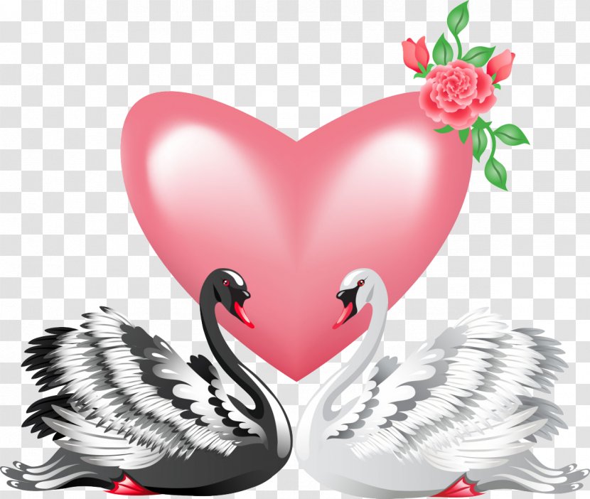 Black Swan Bird Valentine's Day Clip Art - Wing Transparent PNG