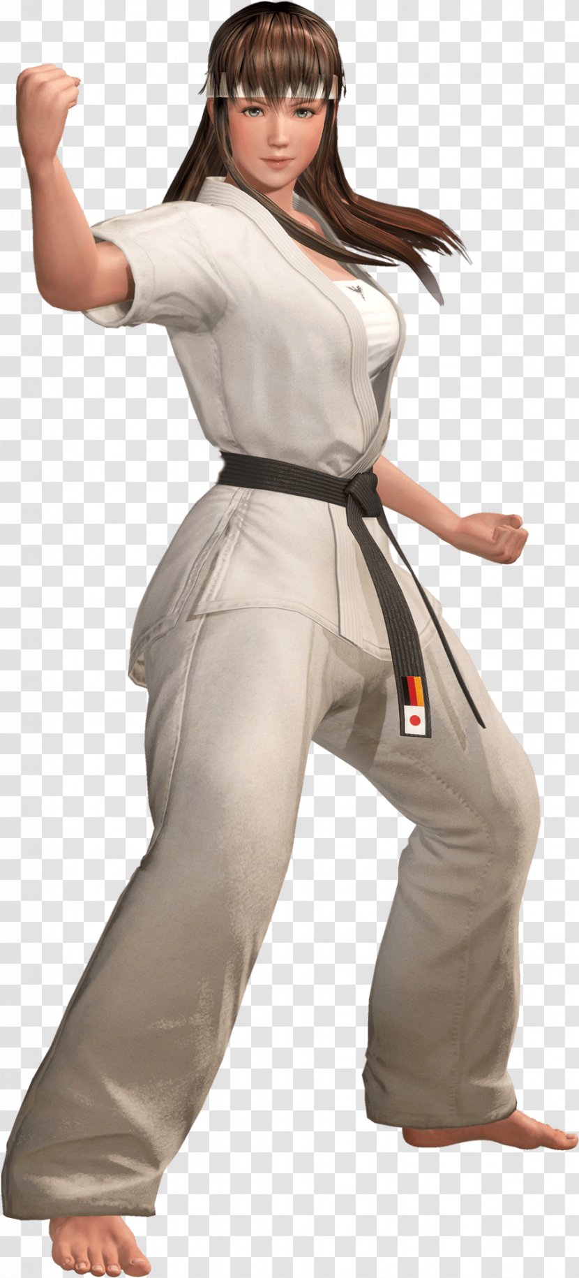 Dead Or Alive 6 Clothing - Ryu Hayabusa - Gesture Trousers Transparent PNG