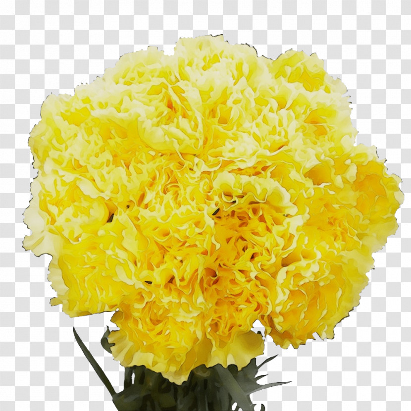 Cut Flowers Yellow Flower Cutting Transparent PNG