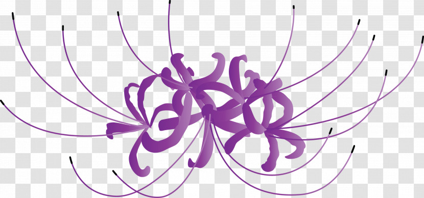 Hurricane Lily Flower Transparent PNG