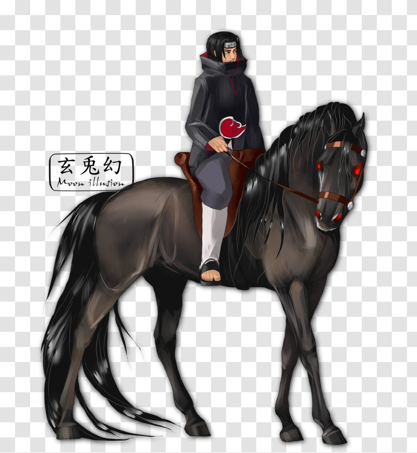 Itachi Uchiha Horse Kisame Hoshigaki Equestrian Stallion - Frame Transparent PNG