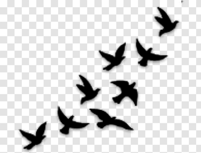 Bird Gulls Drawing YouTube Tattoo - Black And White - Origami Effect Transparent PNG