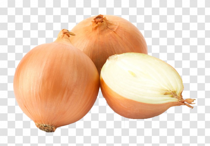 White Onion Yellow Garlic Red Scallion - Genus Transparent PNG