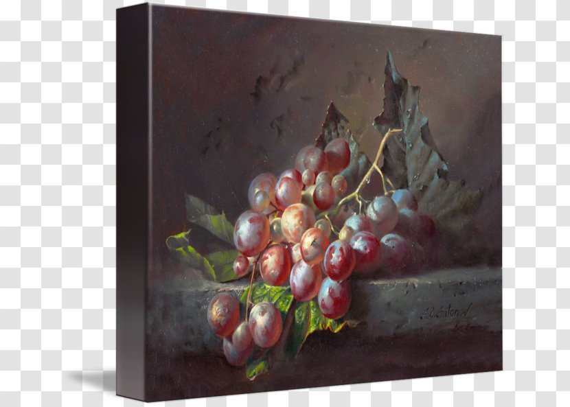 Grape Still Life Painting Artist - Vitis Transparent PNG