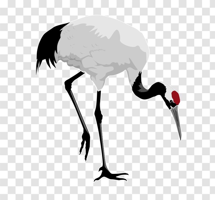 Red-crowned Crane Bird Heron Clip Art - Blue - Free Stork Clipart Transparent PNG