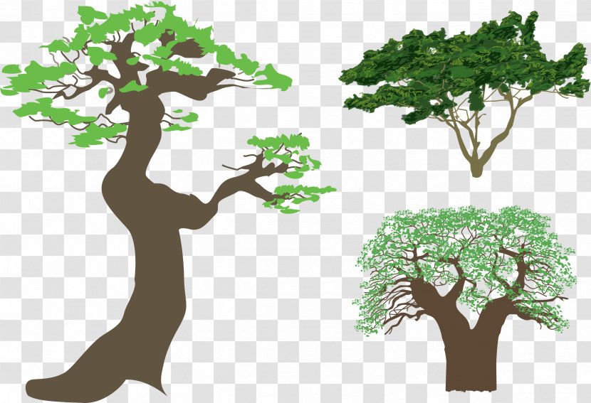 Tree Silhouette Illustration - Leaf - Retro Crown Vector Transparent PNG