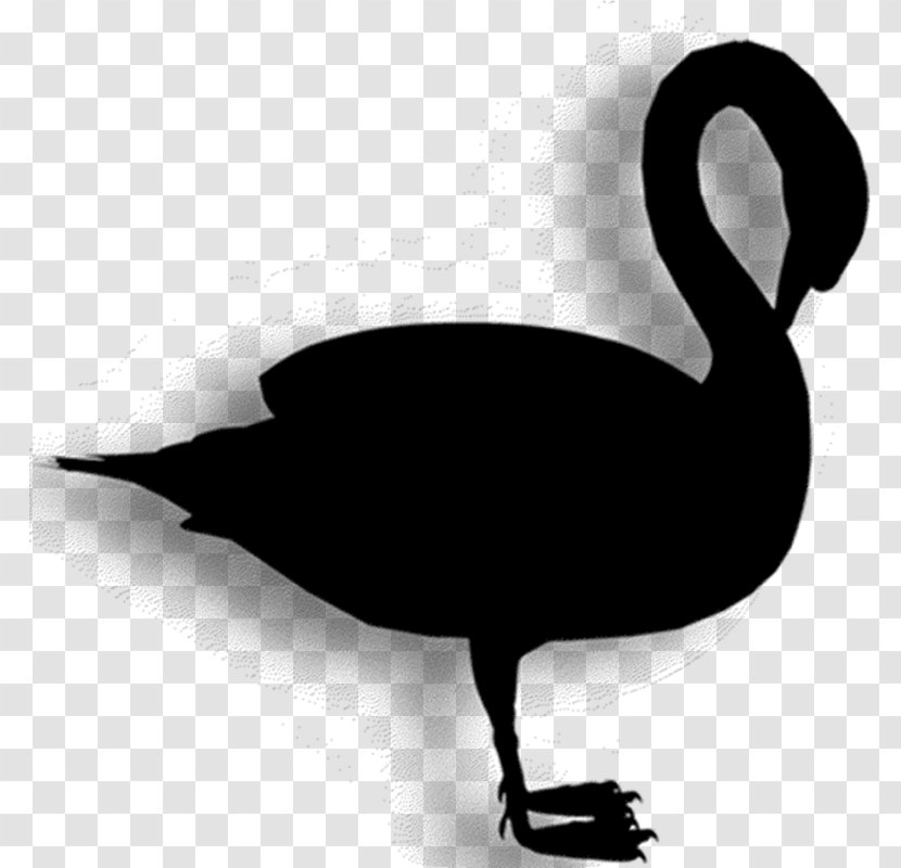 Duck Goose Clip Art Fauna Silhouette - Swan - Ducks Geese And Swans Transparent PNG