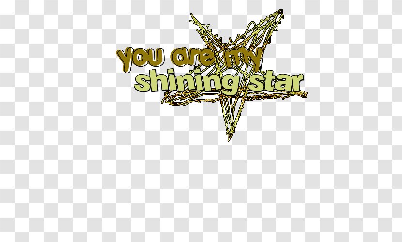 Text Logo Brand Font - Shinning Stars Transparent PNG