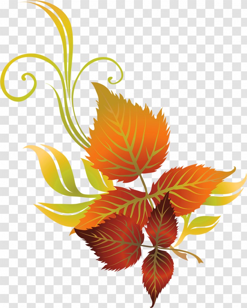 Clip Art Autumn Leaf Color Vector Graphics - Summer Solstice Background Leaves Transparent PNG