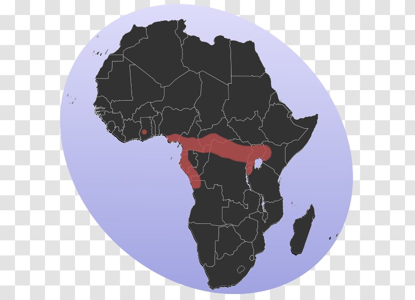 Africa Vector Map - World Transparent PNG